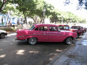 IMG_0791 (1024x768)