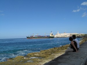 IMG_0796 (1024x768)