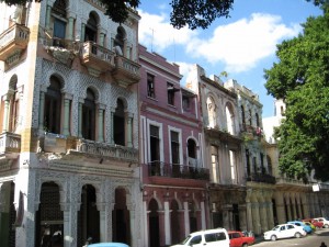 IMG_0800 (1024x768)
