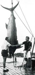 hemingway-blue-marlin